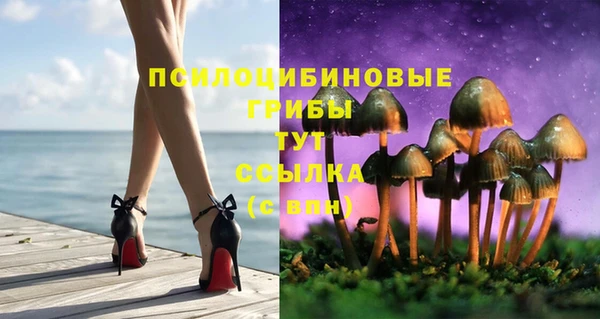 экстази Карпинск