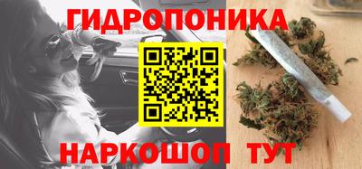 спиды Тара